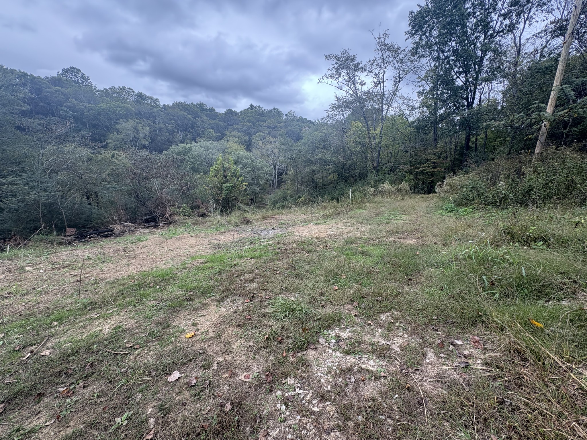 340 Bailey Lane Pulaski, TN 38478 - Photo 4 of 44