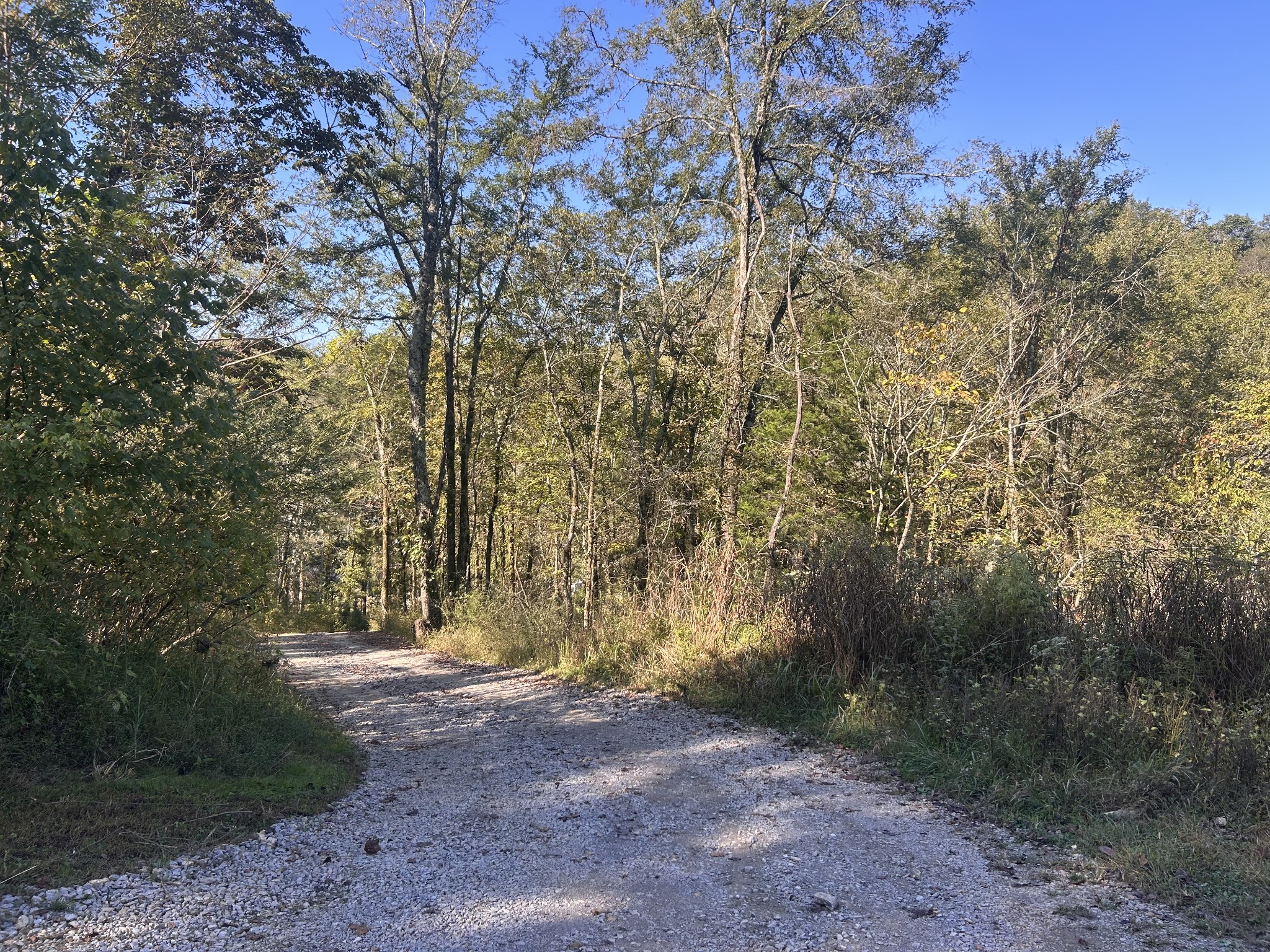 340 Bailey Lane Pulaski, TN 38478 - Photo 43 of 44