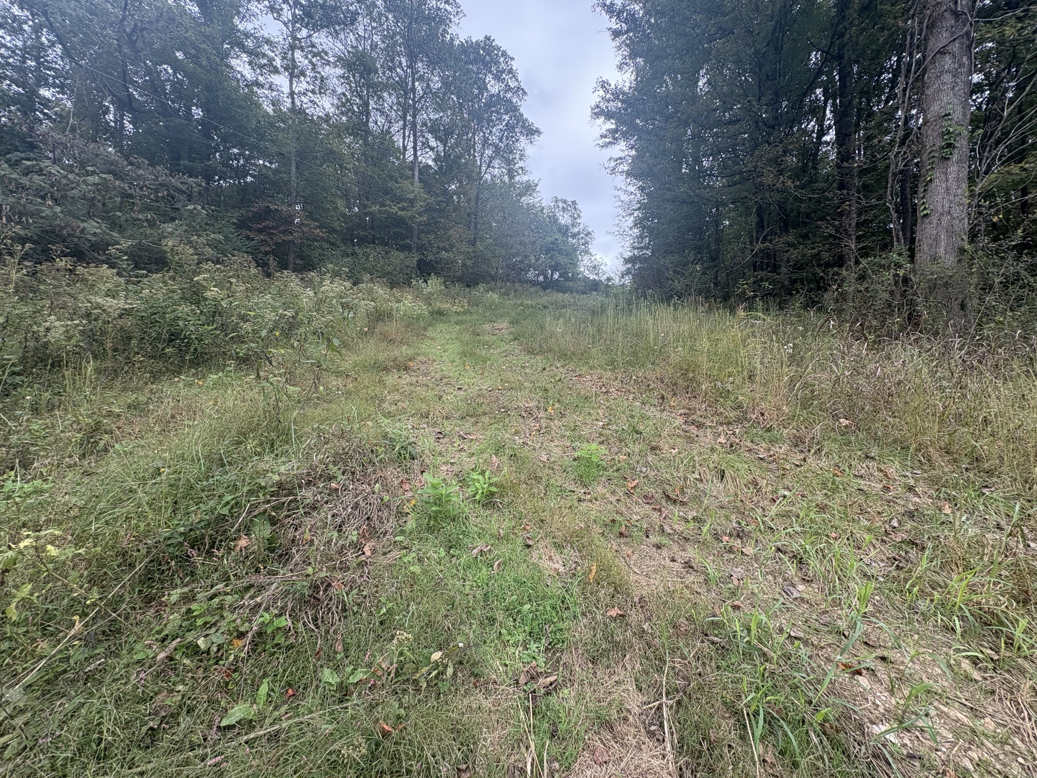 340 Bailey Lane Pulaski, TN 38478 - Photo 5 of 44