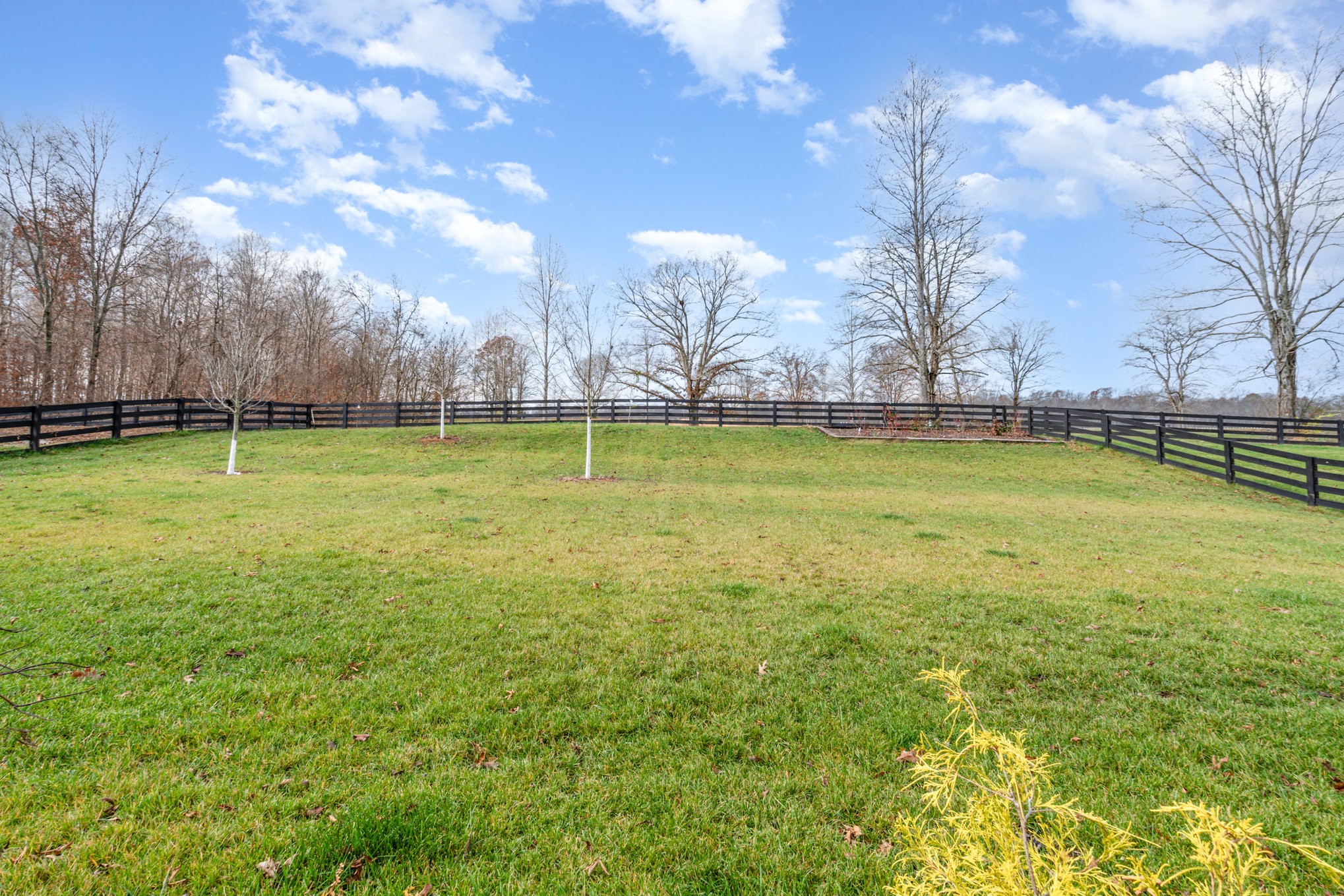 7445 Swindon Boulevard Fairview, TN 37062 - Photo 35 of 38