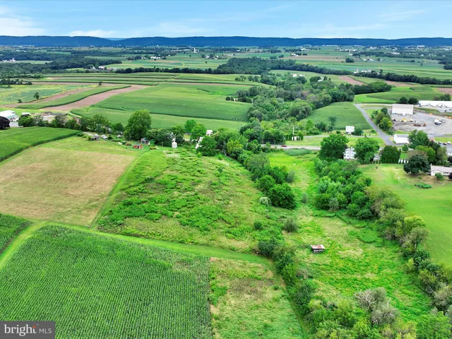 a view of a lush green space