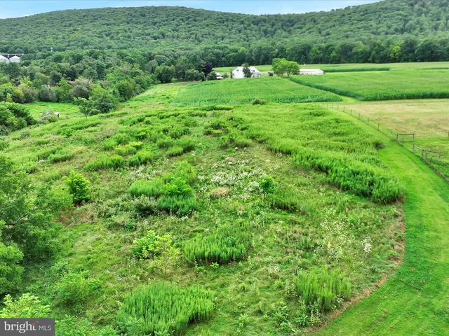 a view of field with grassy field