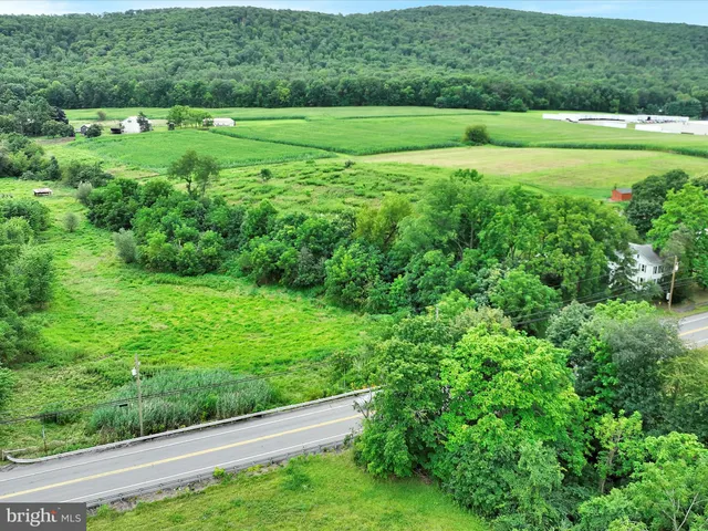 a view of a lush green space