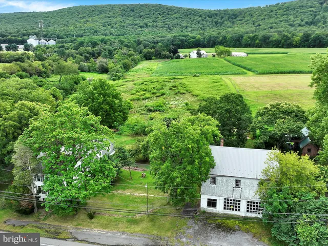 an aerial view of residential houses with outdoor space and trees