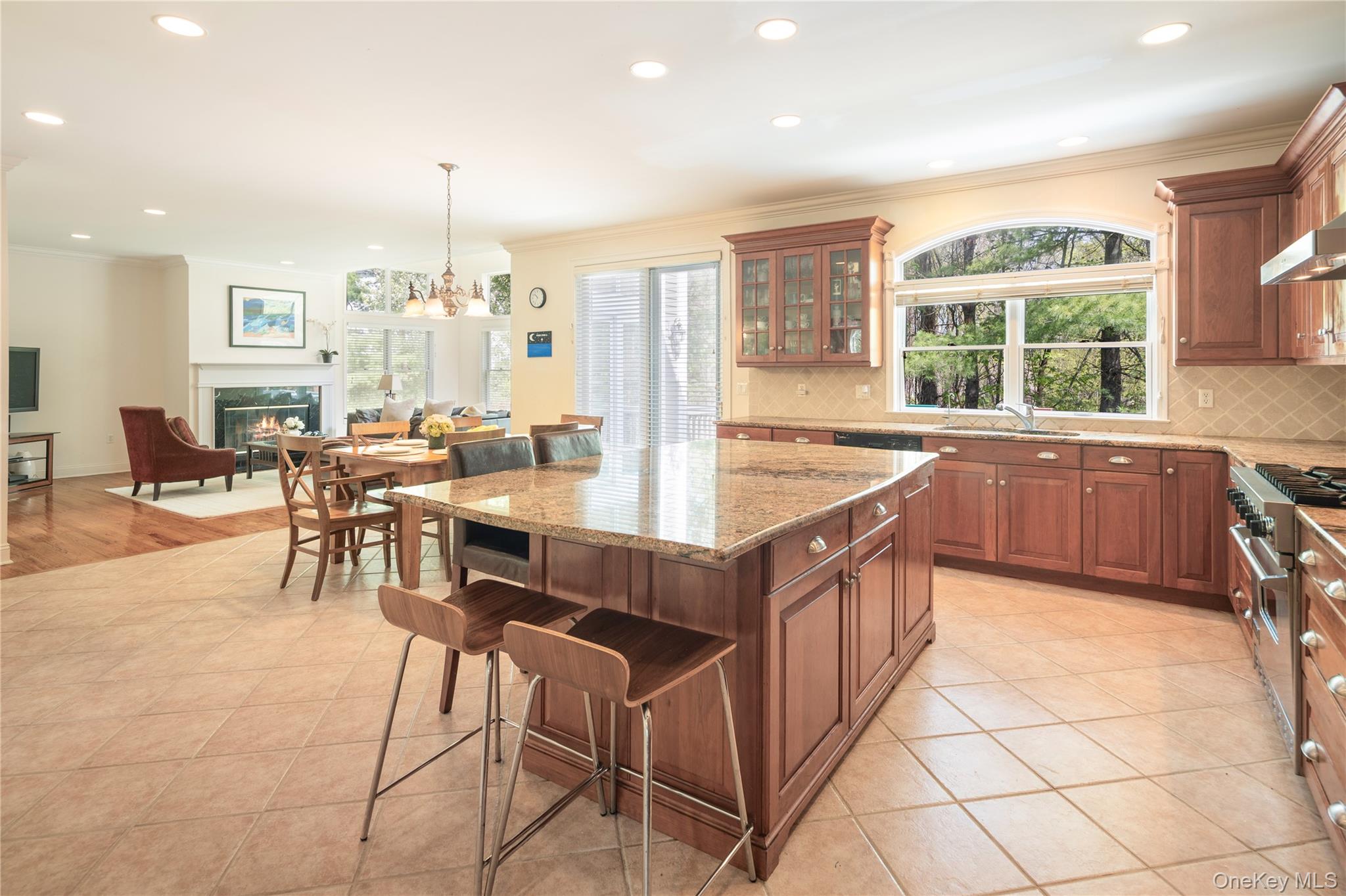 11 Hollow Tree Road Briarcliff Manor, NY 10510 - Photo 11 of 45