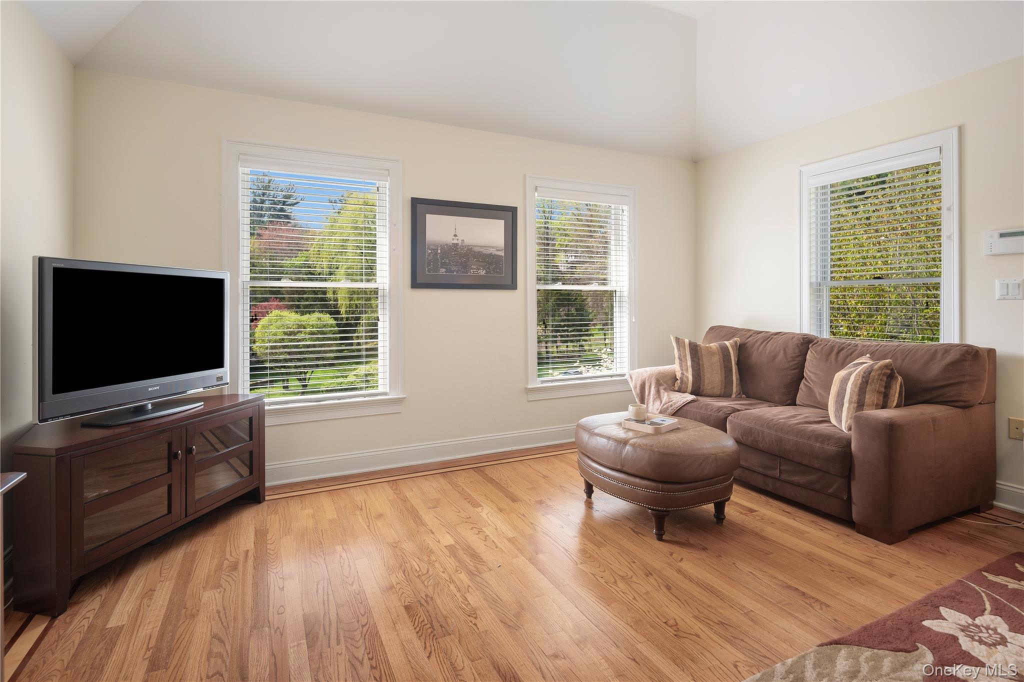 11 Hollow Tree Road Briarcliff Manor, NY 10510 - Photo 22 of 45