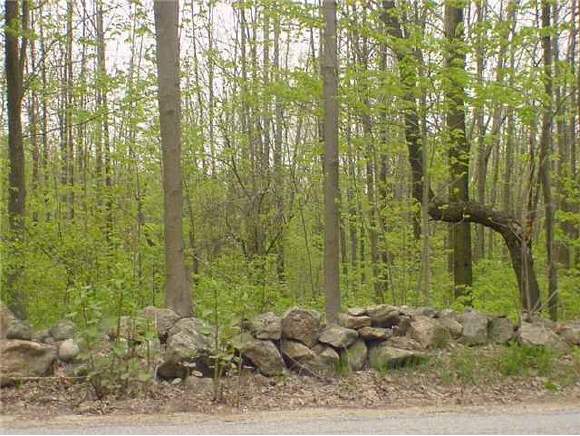 Lot 58-2 South Bow Road Hooksett, NH 03106 - Photo 1 of 1