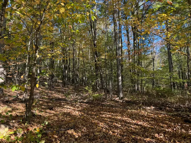 $49,900 | 0 Ross Hill Road, St. Albans, ME 04971