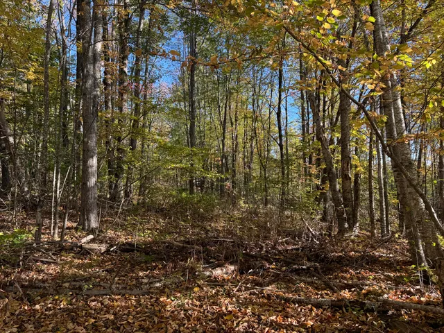 $49,900 | 0 Ross Hill Road, St. Albans, ME 04971