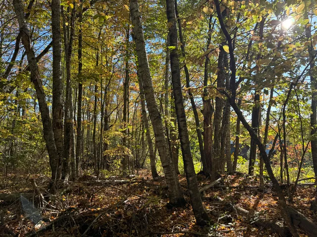 $49,900 | 0 Ross Hill Road, St. Albans, ME 04971