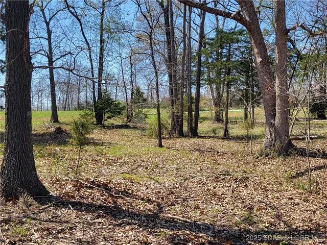 $50,000 | Emerald Hills Drive, Edwards, MO 65326