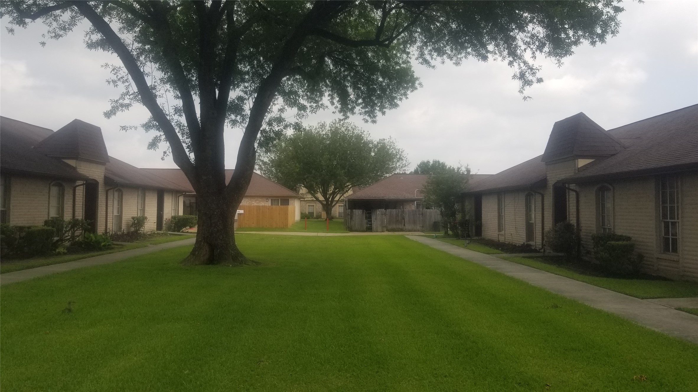 7267 Cook Road Houston, TX 77072 - Photo 3 of 10 a big yard with large trees