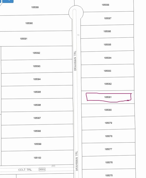 79 Brahman Trail Angleton, TX 77515 - Photo 1 of 5