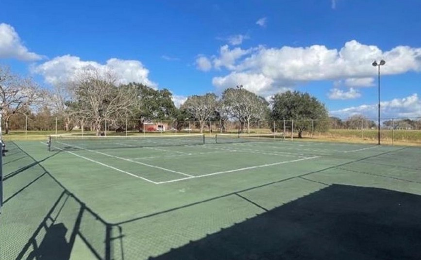 79 Brahman Trail Angleton, TX 77515 - Photo 3 of 5