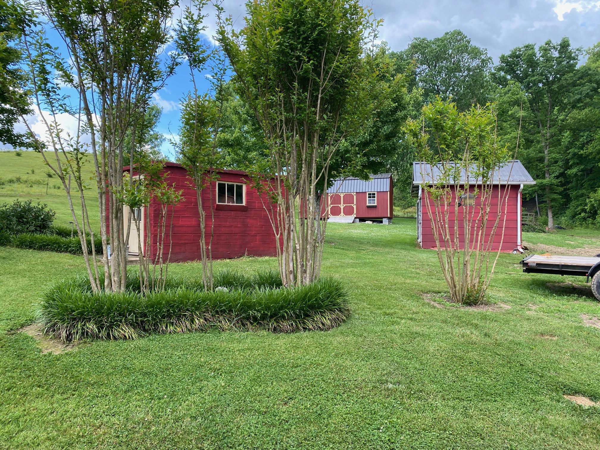 1336 George Malone Road Greeneville, TN 37745 - Photo 6 of 32 1336 Geroge Malone buildings