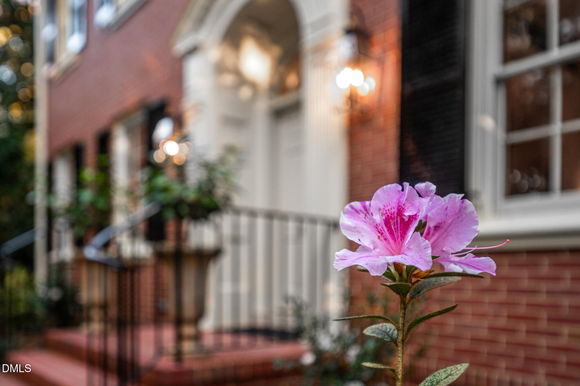 64 Beverly Drive Durham, NC 27707 - Photo 5 of 71 a view of yard