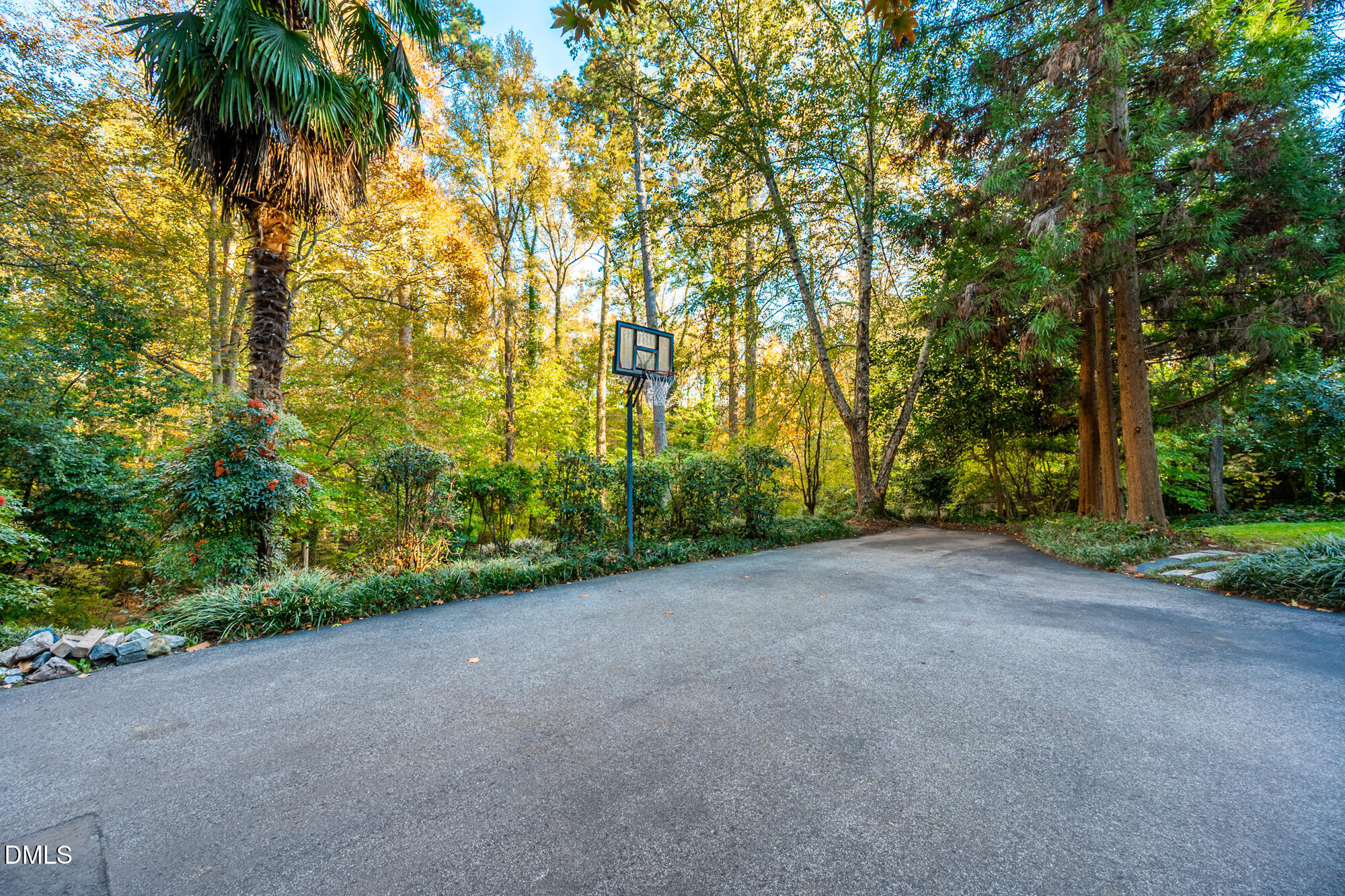 64 Beverly Drive Durham, NC 27707 - Photo 56 of 71 a view of a yard with a trees