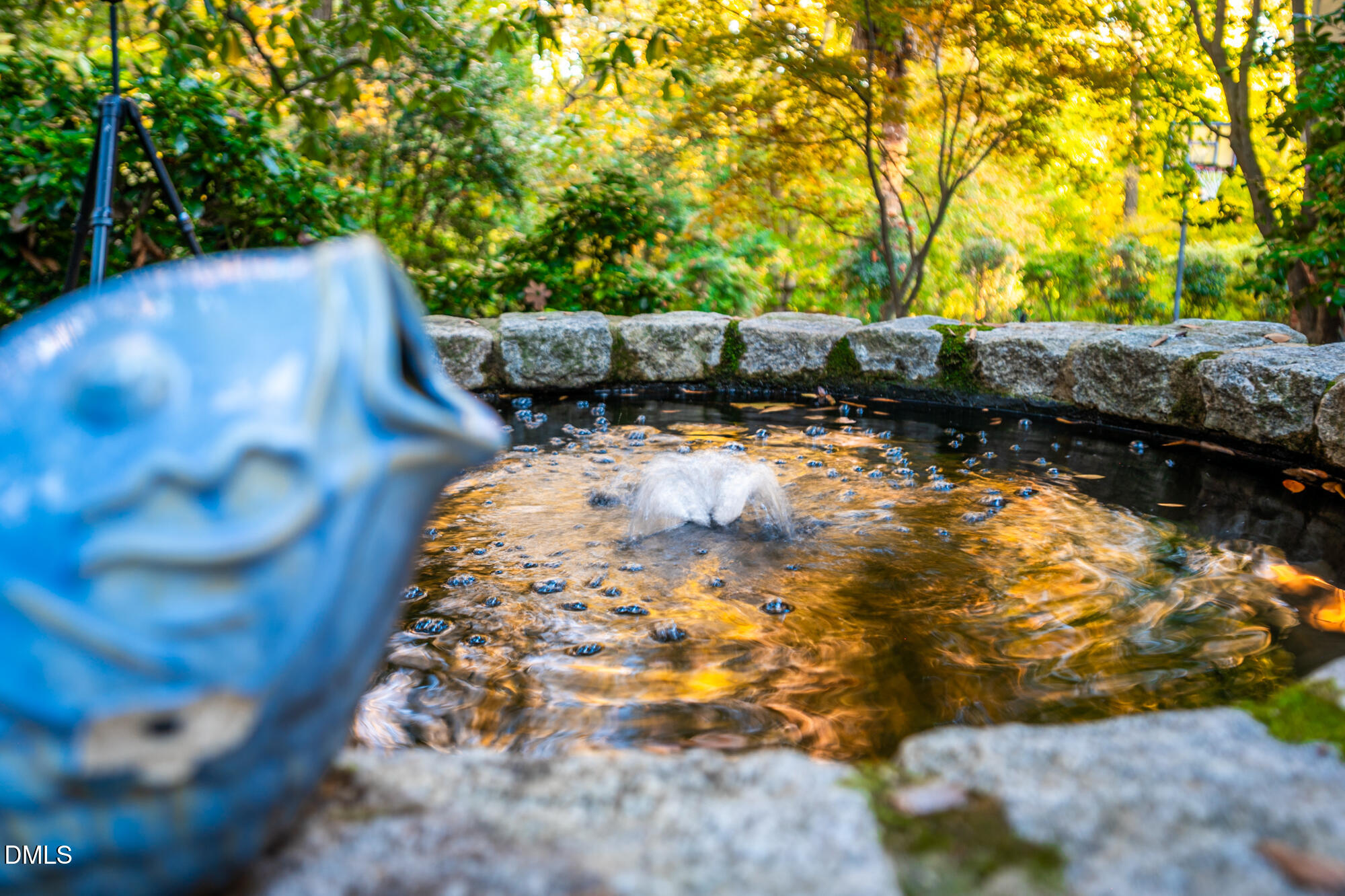 64 Beverly Drive Durham, NC 27707 - Photo 61 of 71 a view of a yard with wooden fence