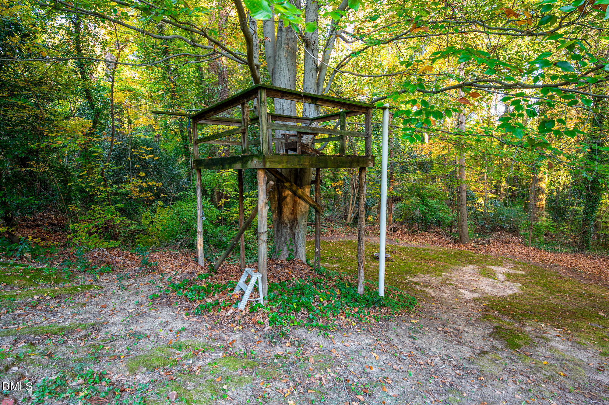 64 Beverly Drive Durham, NC 27707 - Photo 64 of 71 Backyard