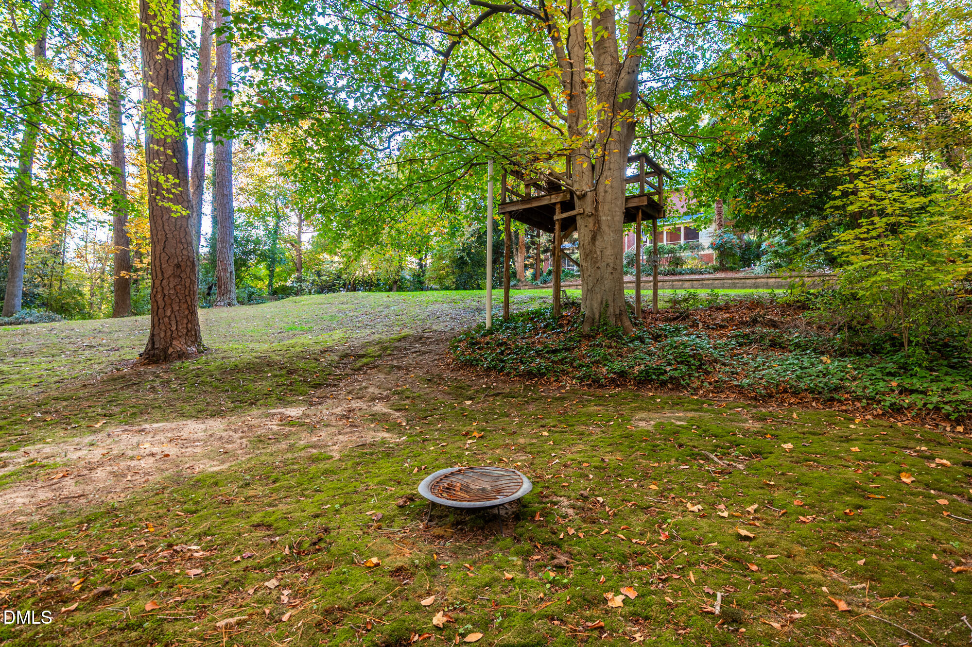 64 Beverly Drive Durham, NC 27707 - Photo 65 of 71 a view of a backyard with large trees