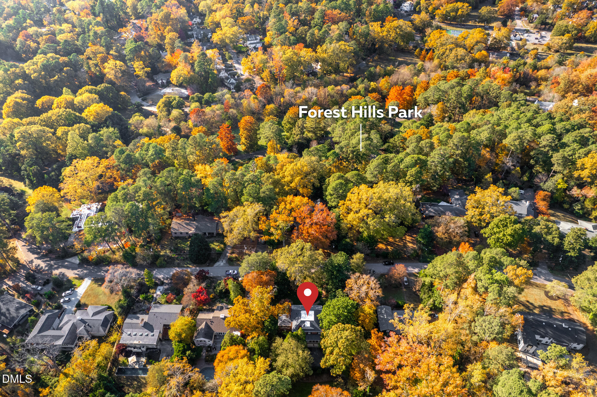 64 Beverly Drive Durham, NC 27707 - Photo 69 of 71 a view of tree