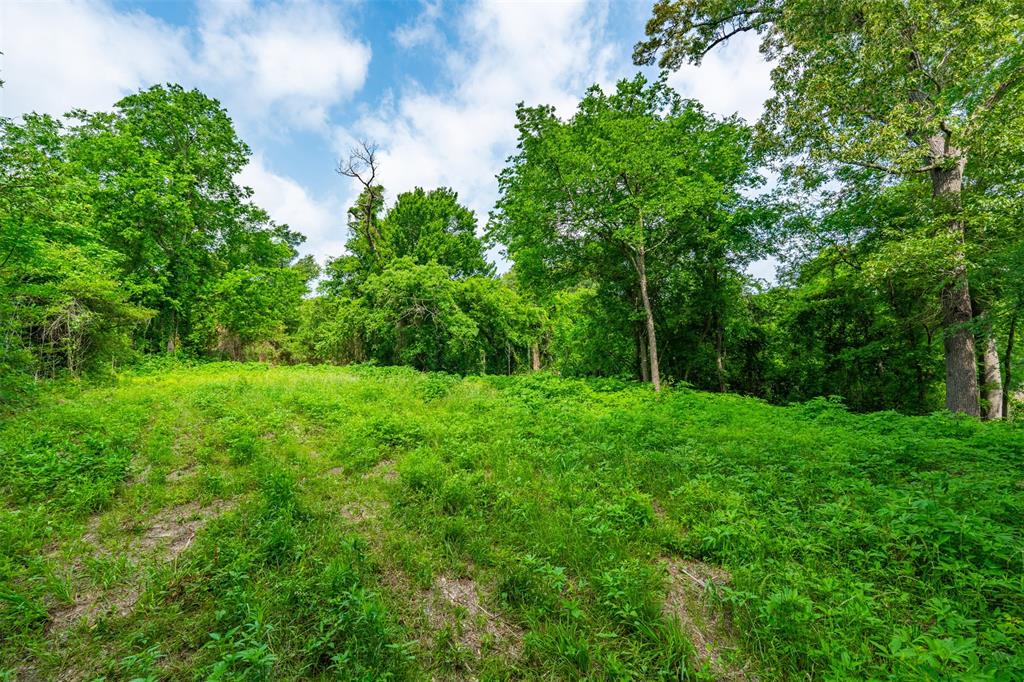 855 North Prairieville Street Athens, TX 75751 - Photo 4 of 7