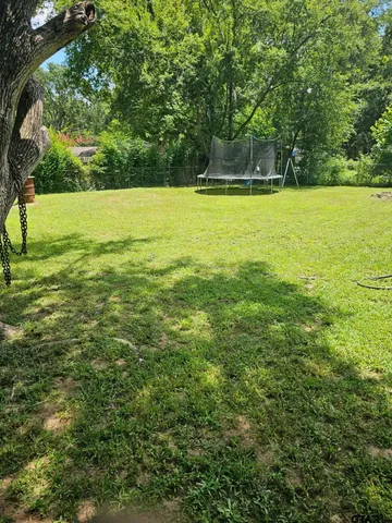 a view of a large yard with large trees