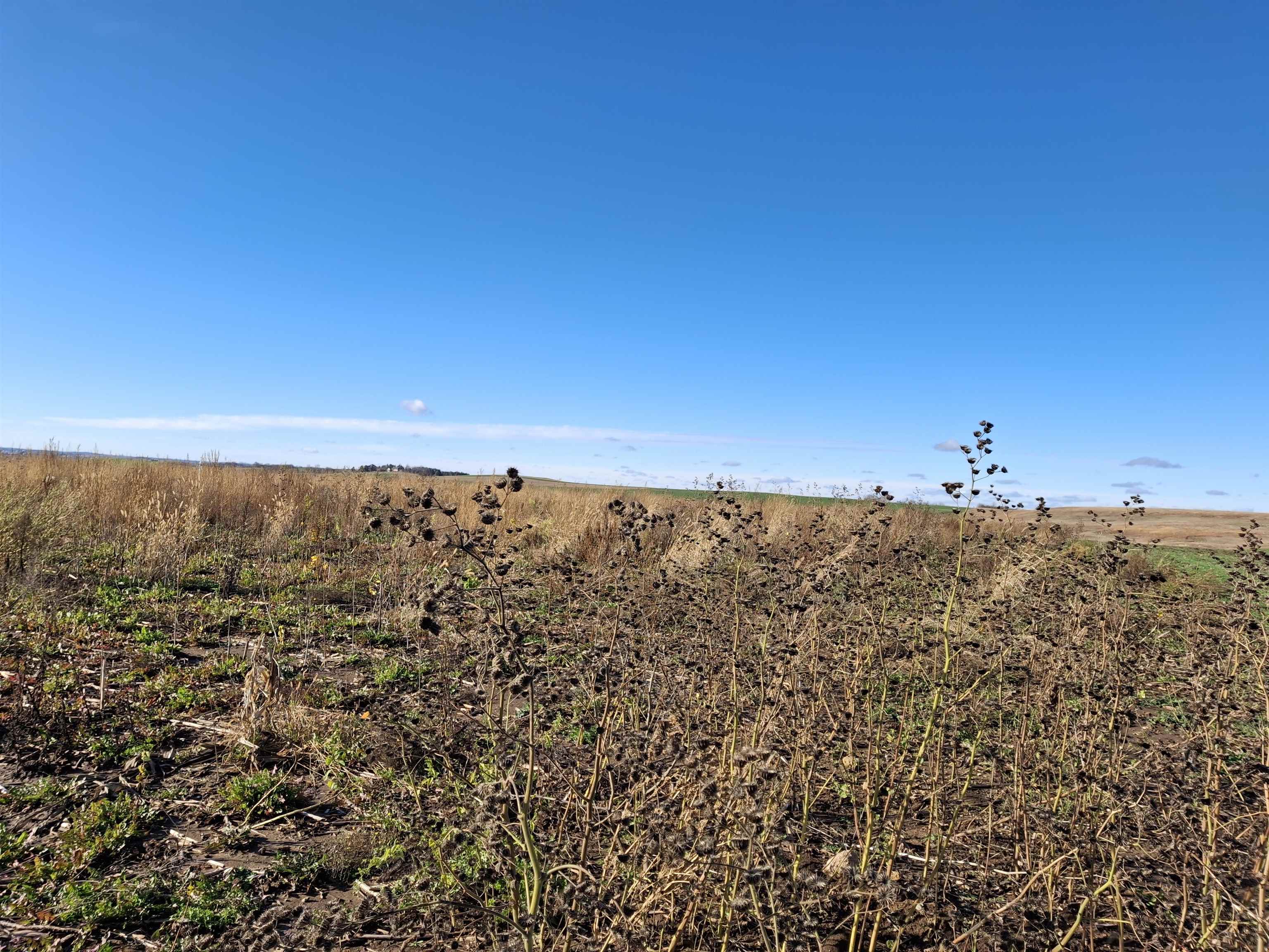 2.43-acre Schumacher Road Waunakee, WI 53597 - Photo 17 of 18