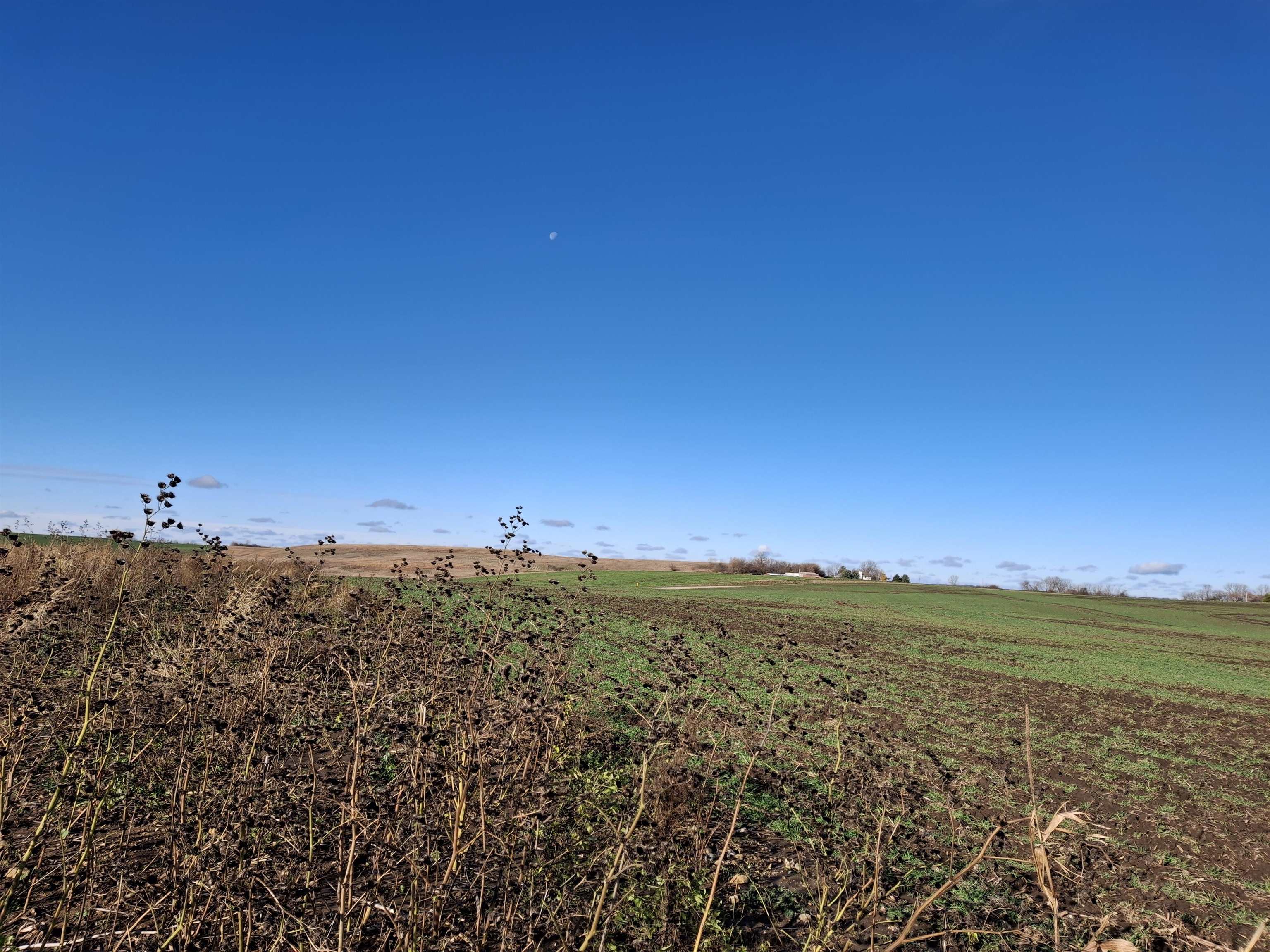 2.43-acre Schumacher Road Waunakee, WI 53597 - Photo 18 of 18