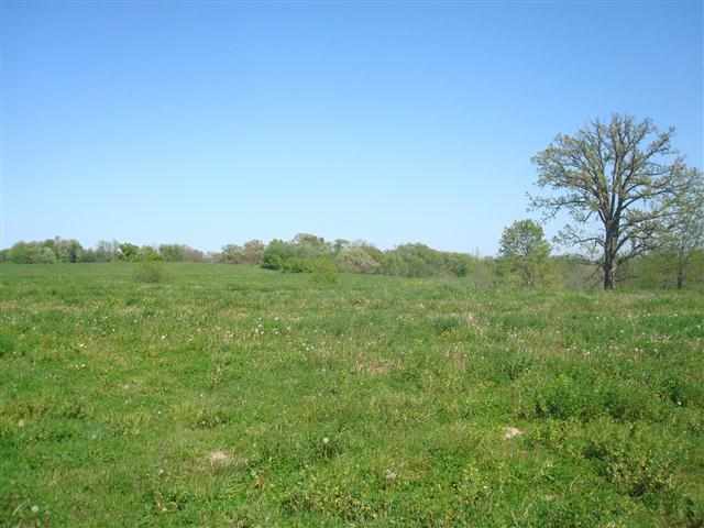 Lot 18 Secluded Ridge Tipton, IA 52772 - Photo 13 of 18 Gallery Image 13