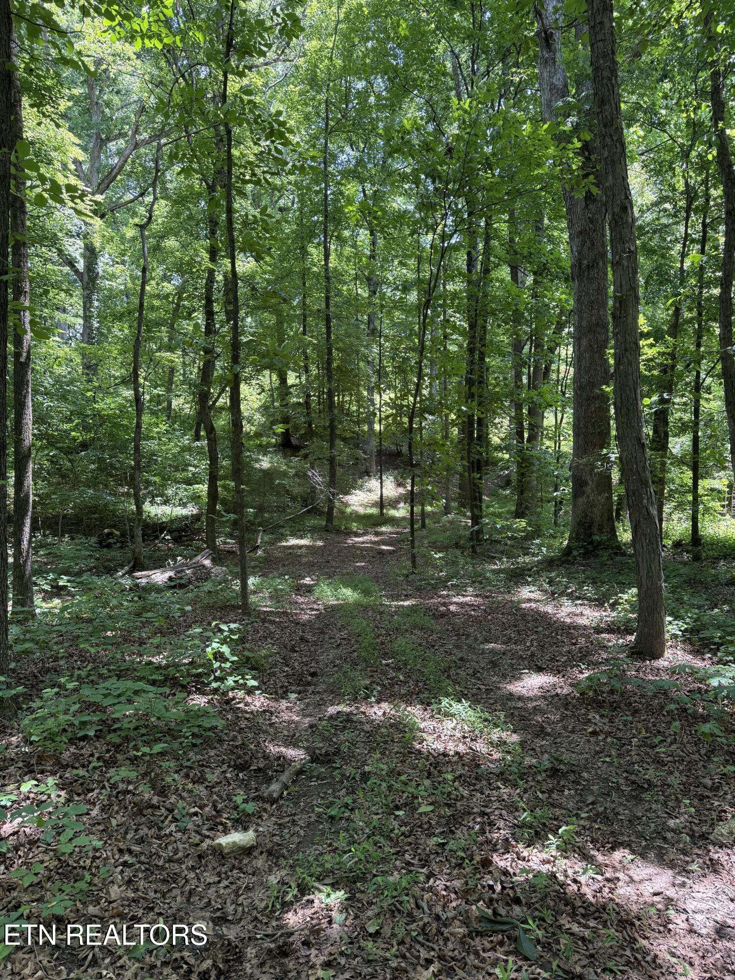 426 County Road 728 Riceville, TN 37370 - Photo 41 of 43 IMG_6497