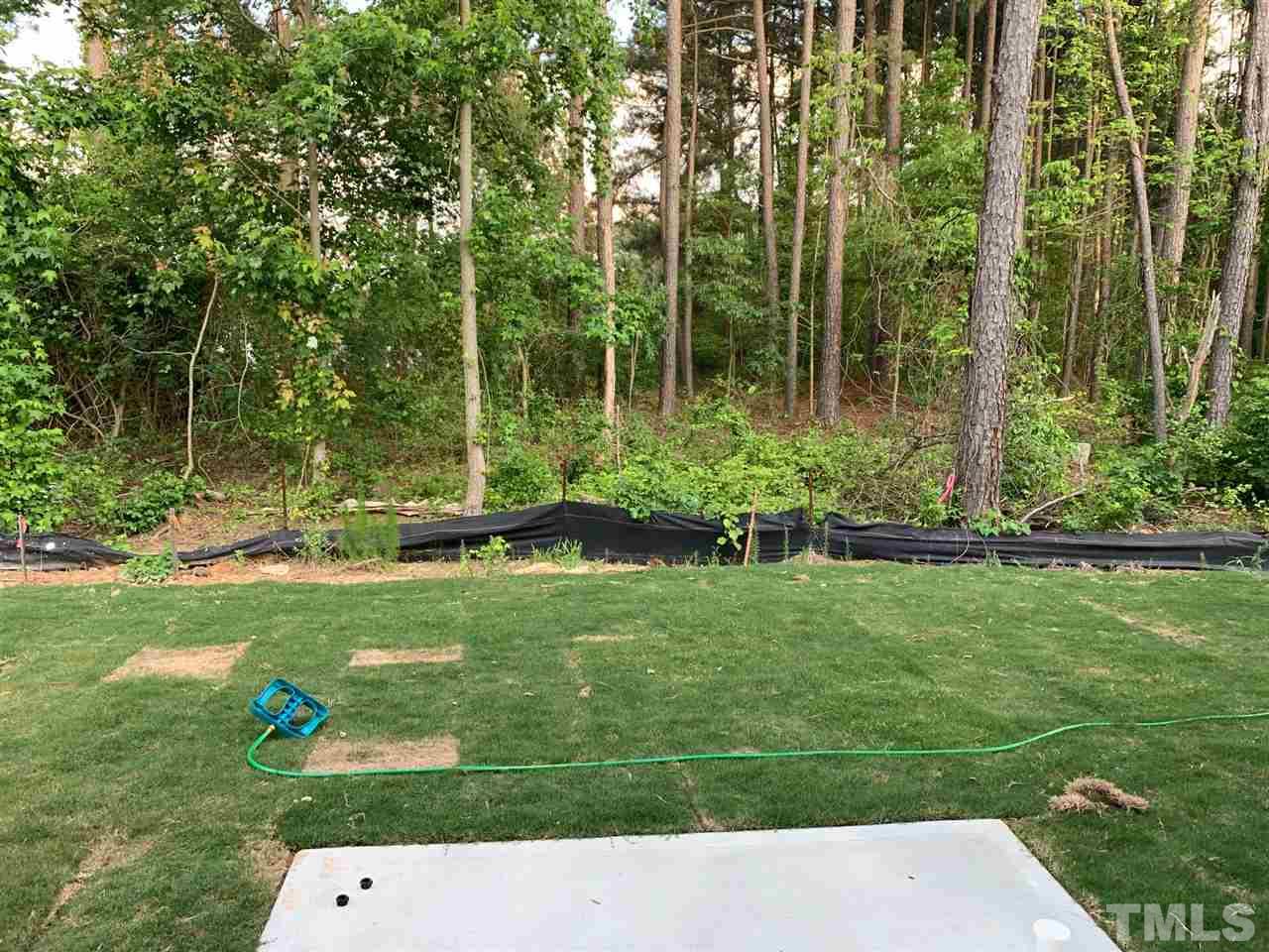 6141 Beale Loop, Unit 57 CARLTON Raleigh, NC 27616 - Photo 7 of 9 a view of yard with grass and a palm tree