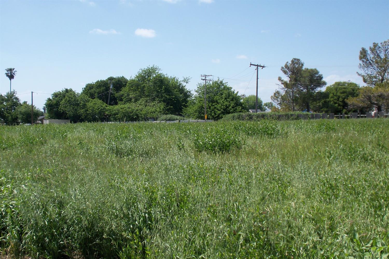 501 6th Street Isleton, CA 95641 - Photo 3 of 5 Gallery Image 3
