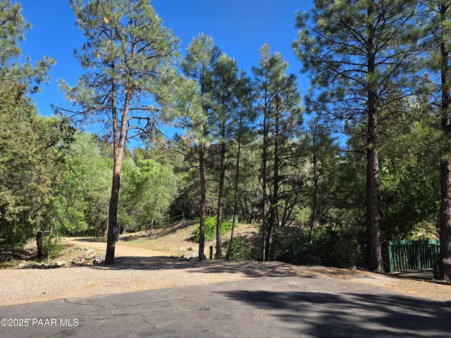 a view of road with large trees