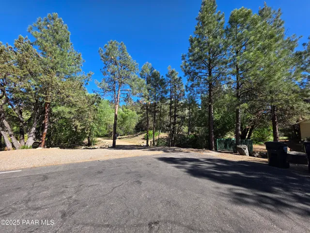 a view of a yard with plants and trees