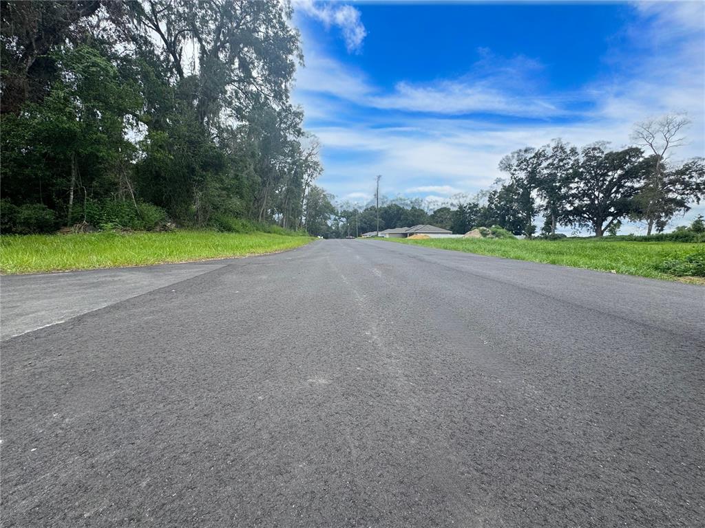 17590 Southwest 112th Place Dunnellon, FL 34432 - Photo 24 of 31 a view of a house with a big yard