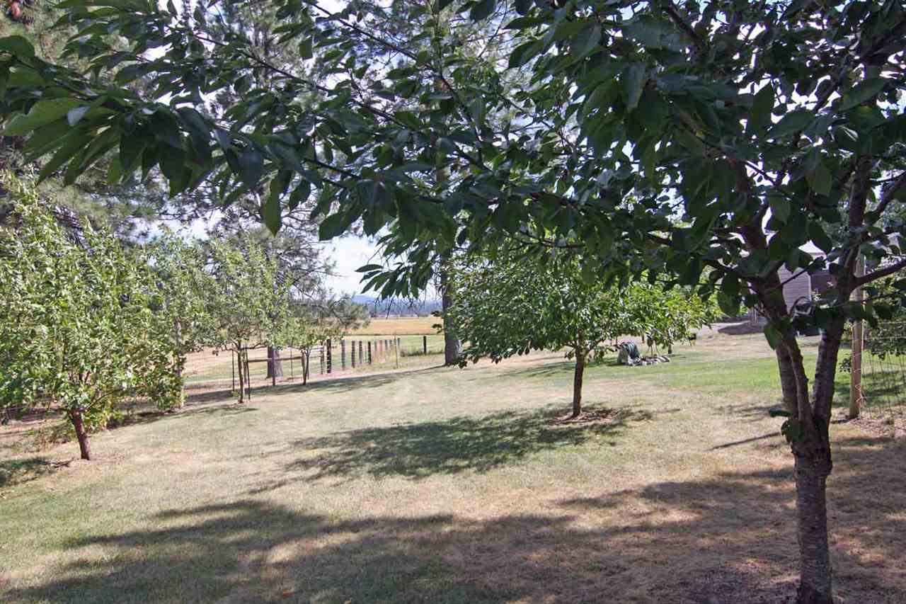 11002 Westside Calispel Road Usk, WA 99180 - Photo 34 of 39