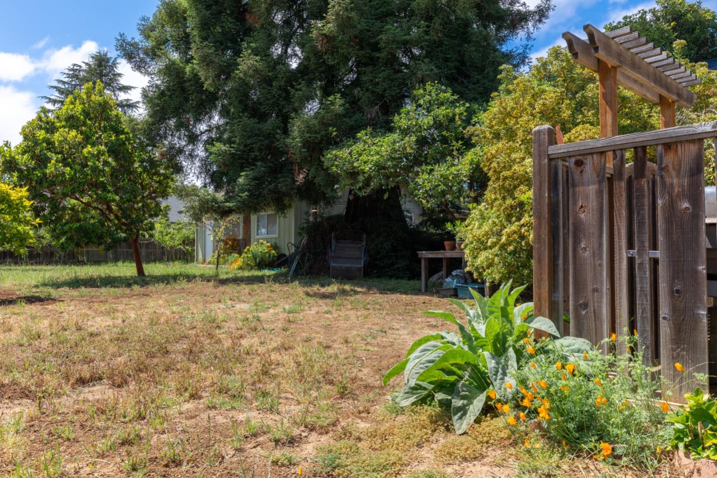 875 Amesti Road Watsonville, CA 95076 - Photo 34 of 52 a house with trees in front of it