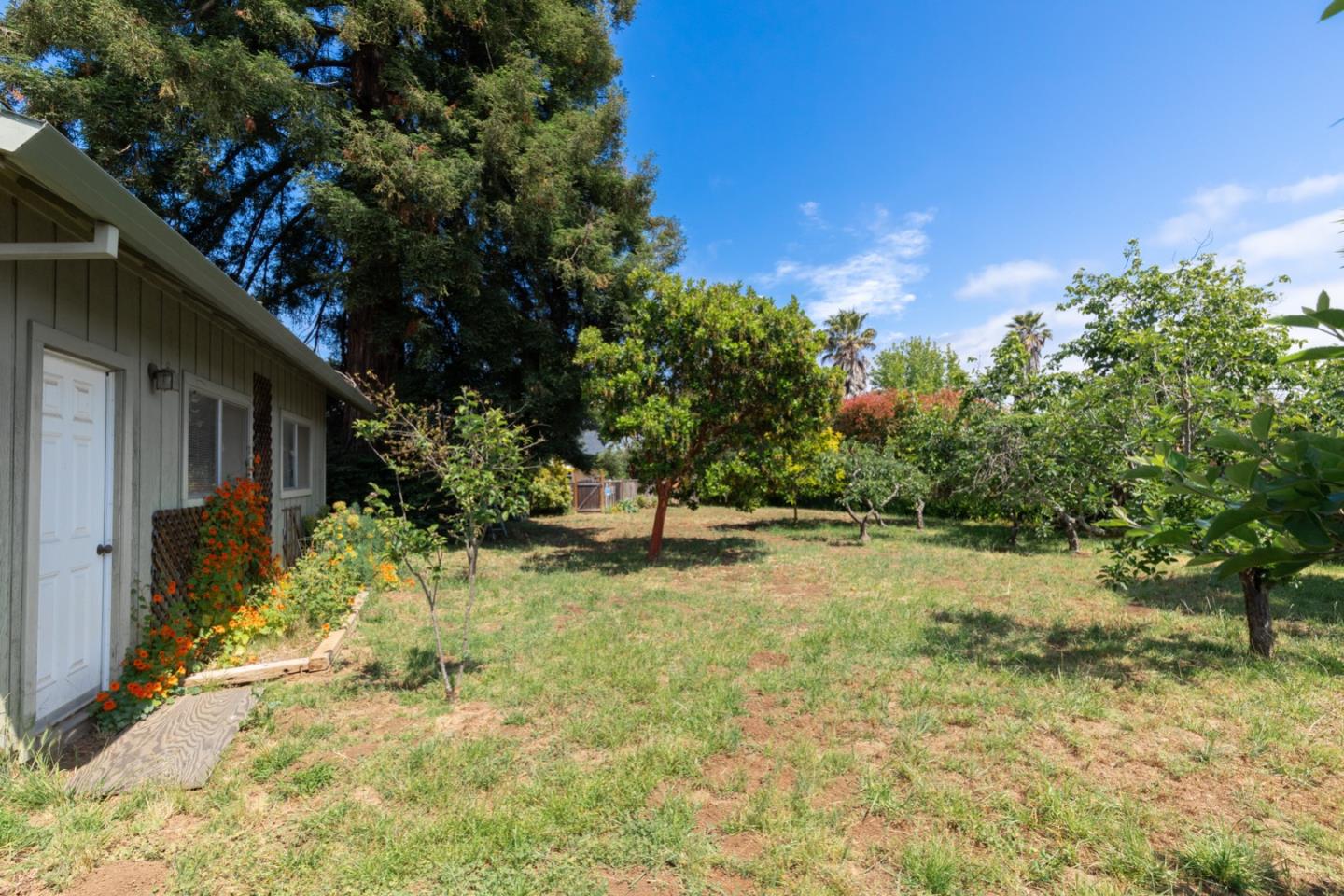 875 Amesti Road Watsonville, CA 95076 - Photo 38 of 52 a view of back yard of the house