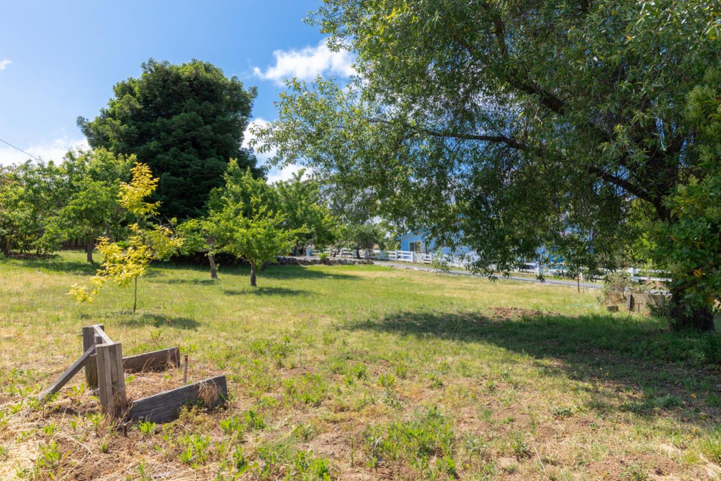 875 Amesti Road Watsonville, CA 95076 - Photo 43 of 52 a view of a swimming pool with a patio and a yard