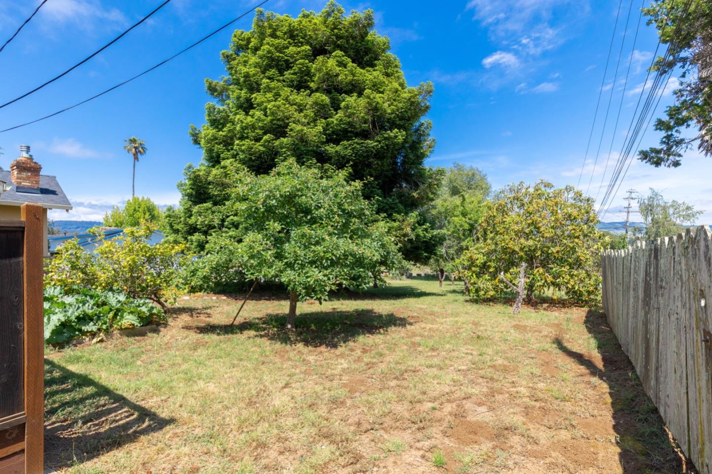 875 Amesti Road Watsonville, CA 95076 - Photo 44 of 52 a view of backyard with plants and outdoor seating