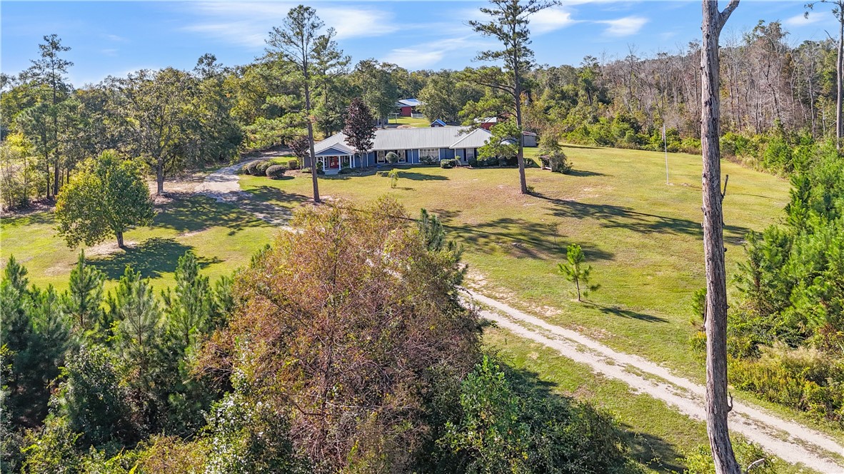 915 Polk Road Odum, GA 31555 - Photo 3 of 79