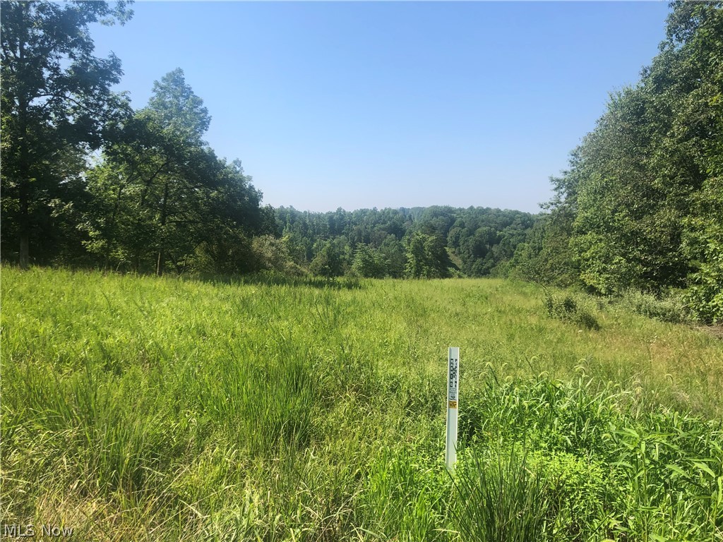 Elliott Run Rd Union West Union, WV 26456 - Photo 6 of 18