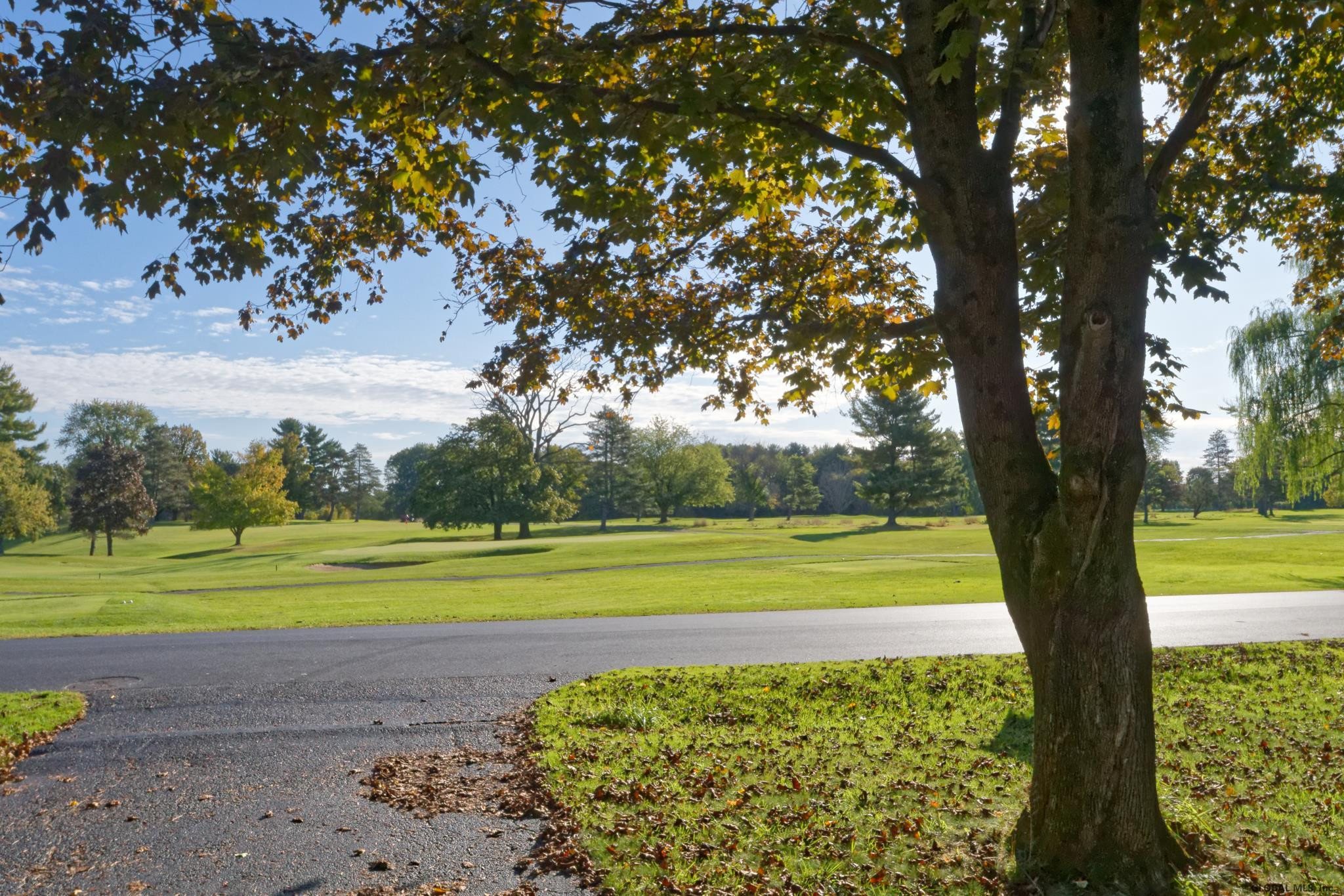 120 Salisbury Road Bethlehem, NY 12054 - Photo 48 of 58 Photo 48