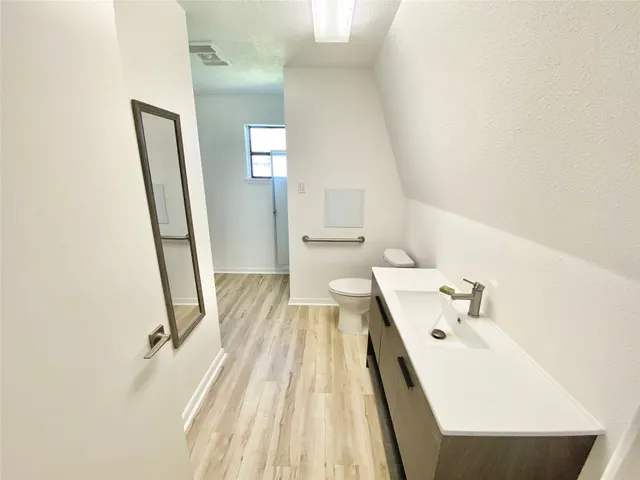 a bathroom with a sink a toilet and a mirror
