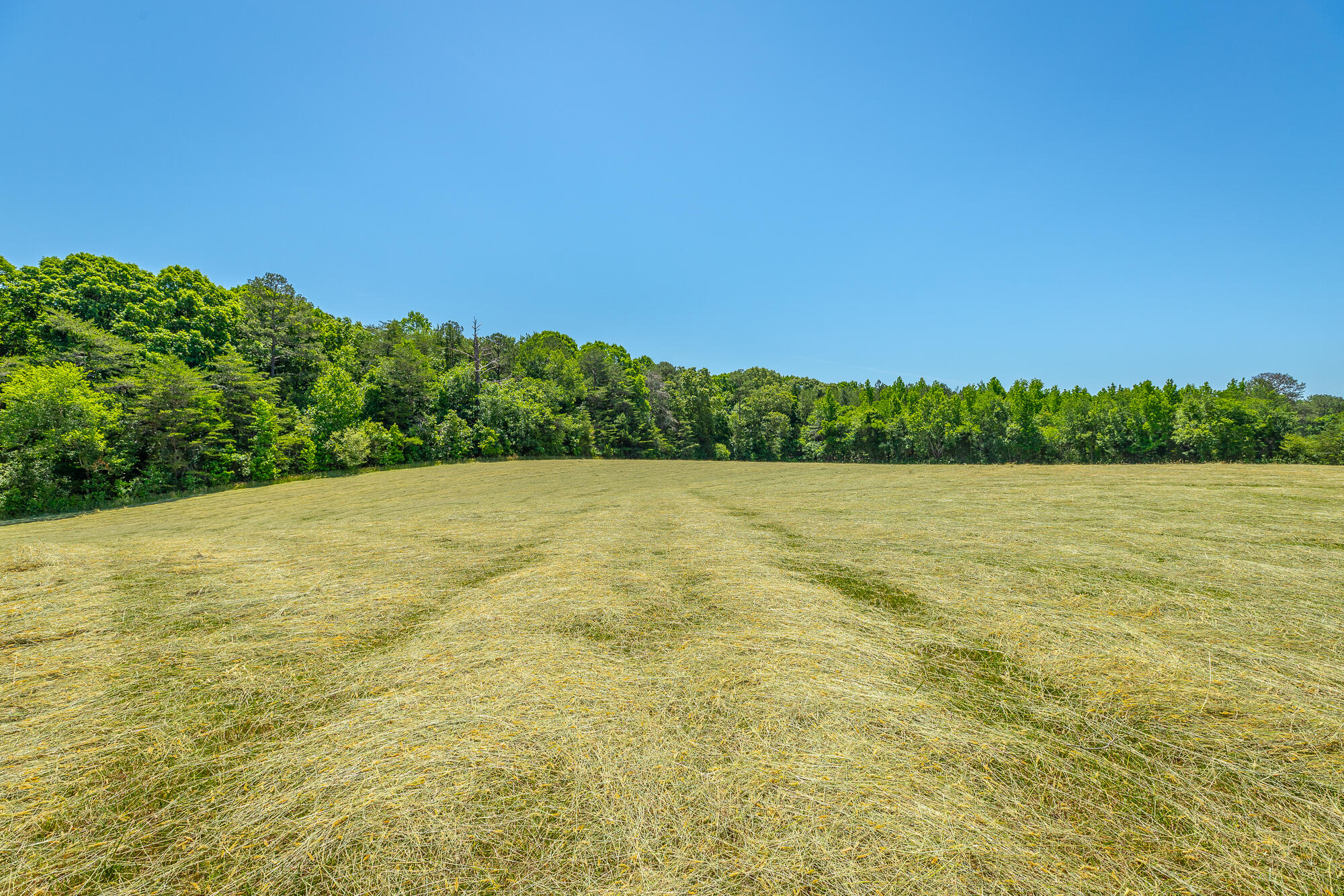 1655 West Cove Road Chickamauga, GA 30707 - Photo 34 of 62 1655 W Cove Road HD-55