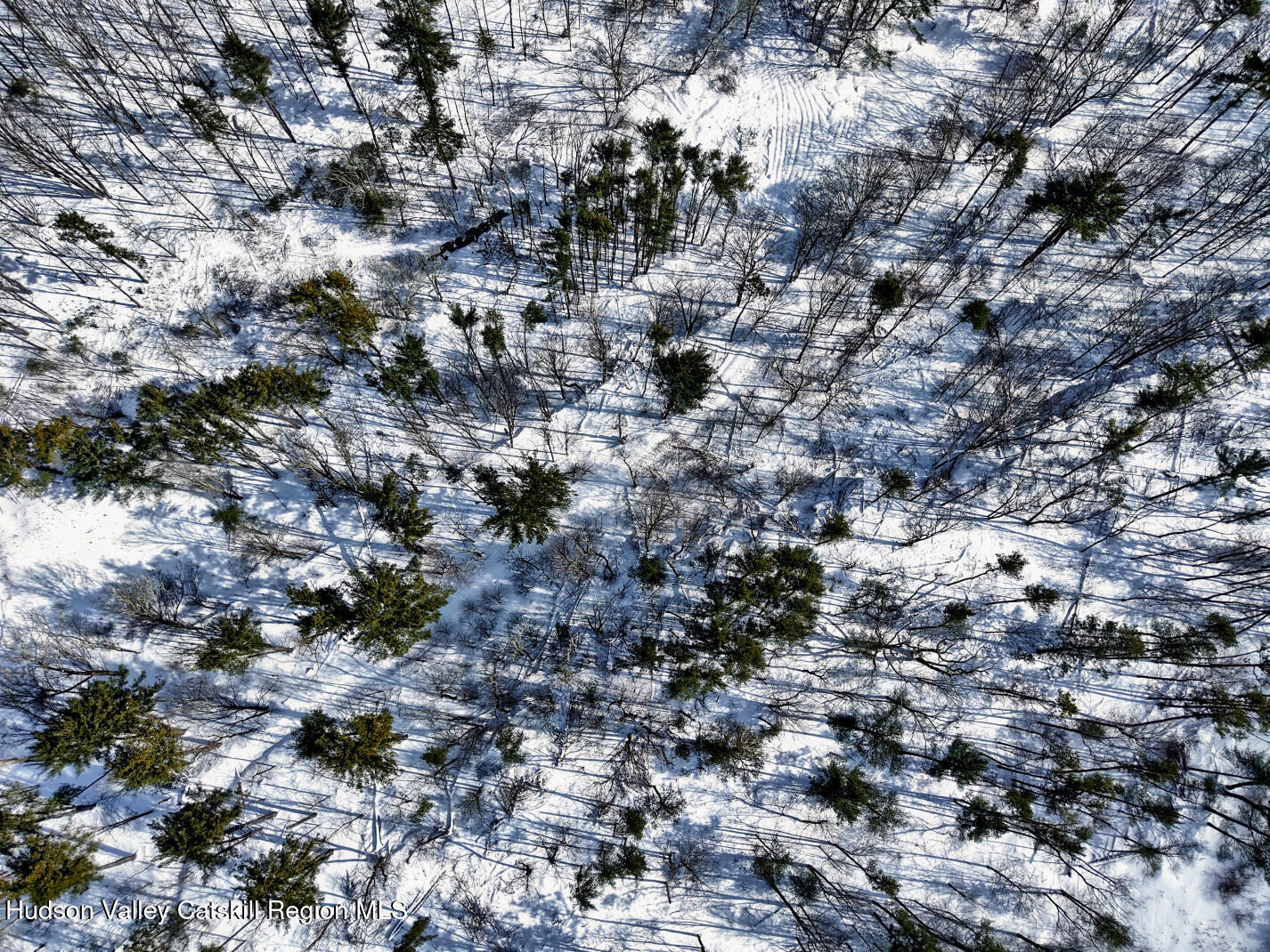 300 Game Farm Road Catskill, NY 12414 - Photo 23 of 23 9n