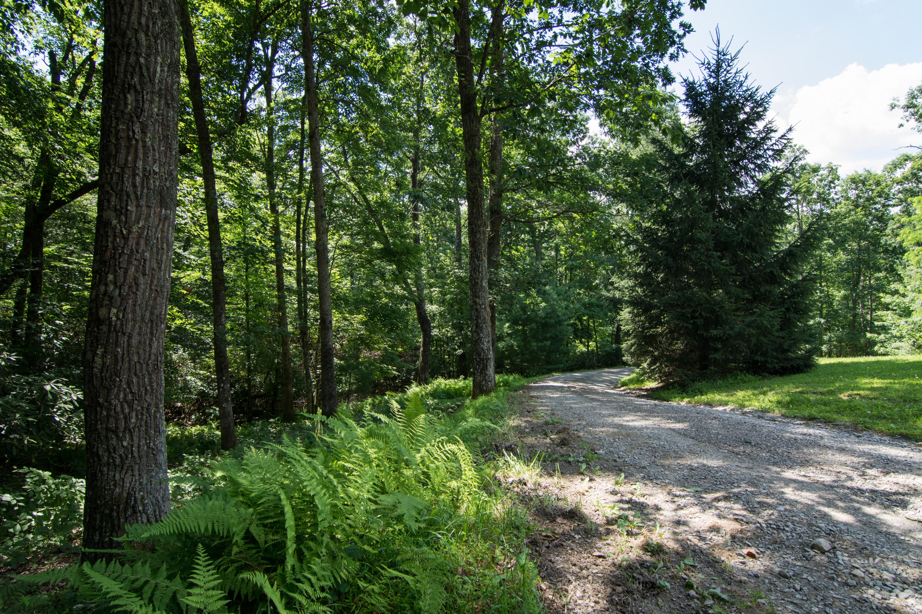 530 Sinking Creek Road Crawley, WV 24931 - Photo 57 of 61 Gallery Image 57
