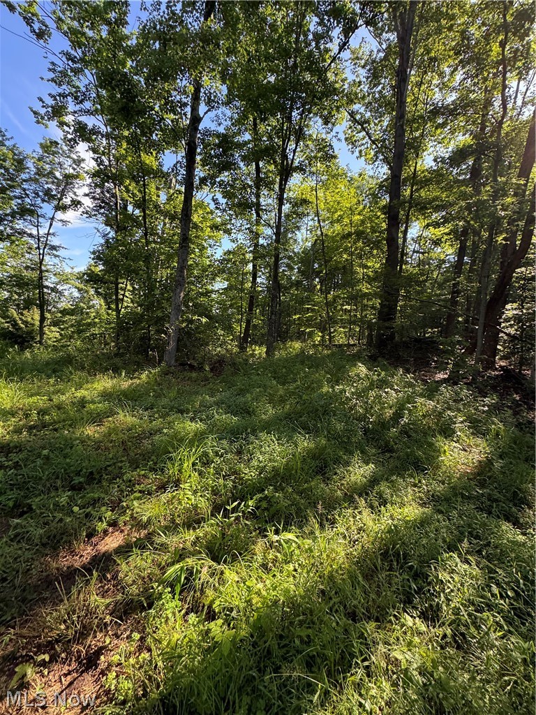 Stone Quarry Road Danville, OH 43014 - Photo 45 of 50