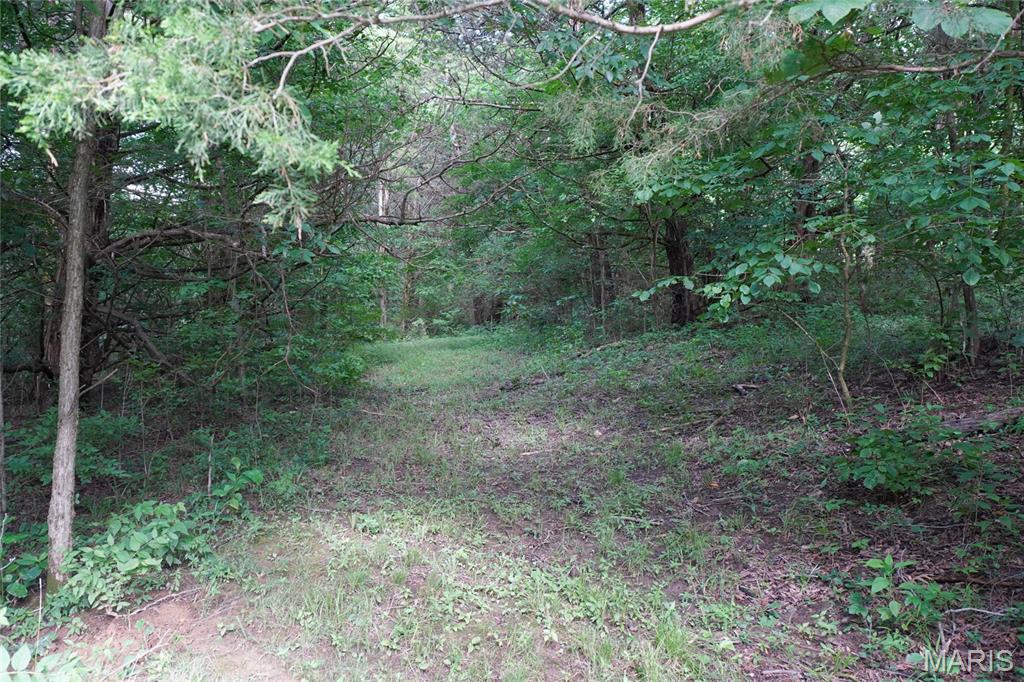 1971 Epple Road Hermann, MO 65041 - Photo 65 of 98